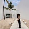 allywang92
